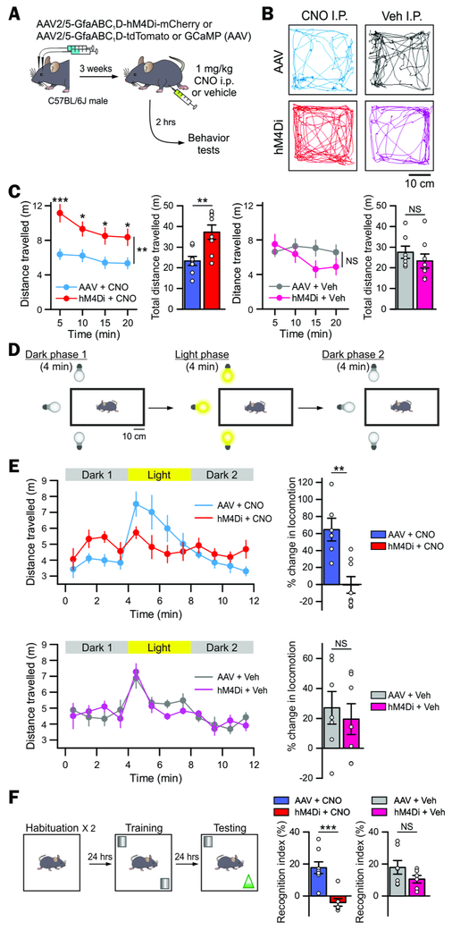 Figure 3: