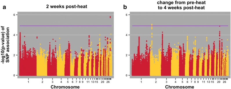 Fig. 4