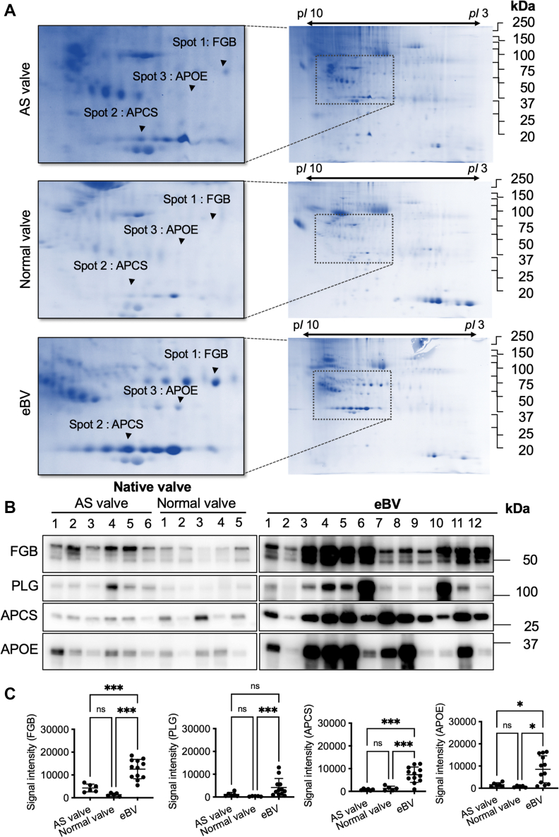 Figure 3