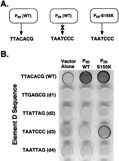 FIG. 5