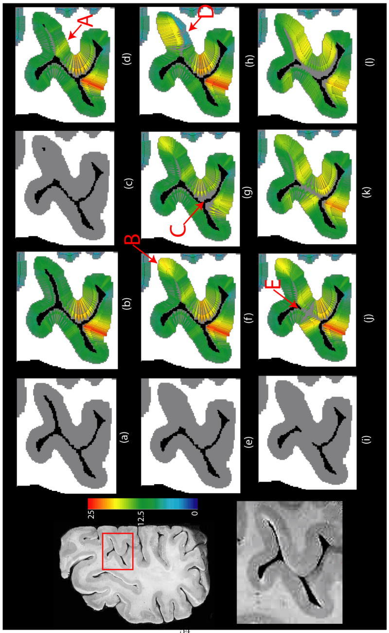 Fig. 8