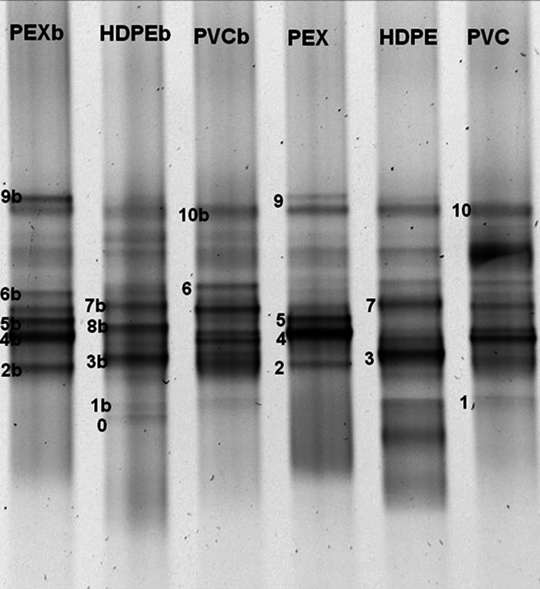 Fig. 7