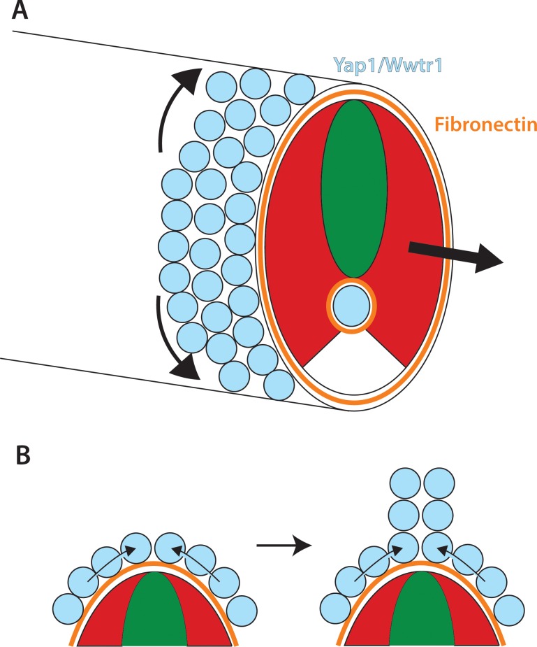 Figure 12.