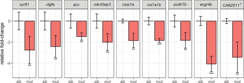 Figure 4—figure supplement 1.