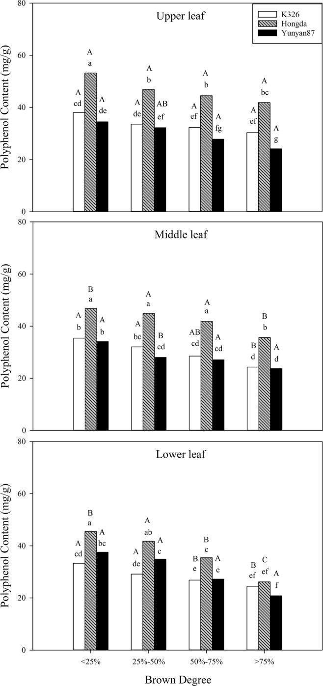 Figure 12