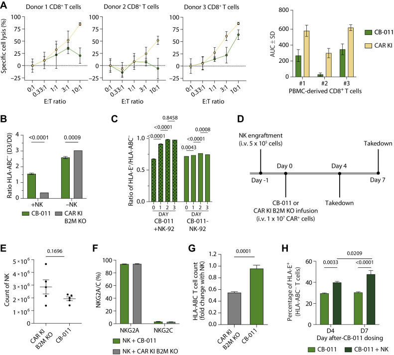 Figure 5. Insertion of a B2M–HLA-E peptide fusion in the B2M locus of CB-011 cells protected against CD8+ T-cell and NK cell–mediated lysis. A, T-cell cytotoxicity assay at a range of E:T ratios of wild-type CD8+ T cells derived from 3 different healthy donors against CB-011 or CAR KI T cells. The AUC of data in A [x-axis (E:T ratios) vs. y-axis (percentage of specific cell lysis)]. Mean values ± SEM from 3 replicates. B, Ratio of HLA-ABC− CB-011 or CAR KI B2M KO T cells at day 3 over day 0 with or without NK-92 cells. Two-way ANOVA with Tukey correction was performed. Representative results show mean values ± SEM from 3 replicates. C, Ratio of HLA-E+ to HLA-ABC− CB-011 cells at different time points in cultures with or without NK-92 cells. Two-way ANOVA with Tukey correction was performed. Representative results show mean values ± SEM from 3 replicates. D, Scheme of in vivo study design. E, Count of NK cells in spleen at day 4 after engraftment. The unpaired t test with Welch correction was performed. F, The percentage of NKG2A+ or NKG2C+ NK cells in spleen at day 4 after engraftment. G, Fold change of HLA-ABC− CB-011 or CAR KI B2M KO T-cell count in presence of NK cells at day 4 in NOG-Tg (Hu-IL15) mice. The unpaired t test was performed. H, The percentage of HLA-E+ CB-011 cells at days 4 and 7 in NOG-Tg (Hu-IL15) mice. Two-way ANOVA with Sidak correction was performed. E–H, 5 mice per group. Representative results show mean values ± SEM. D3/D0, day 3 versus 0.