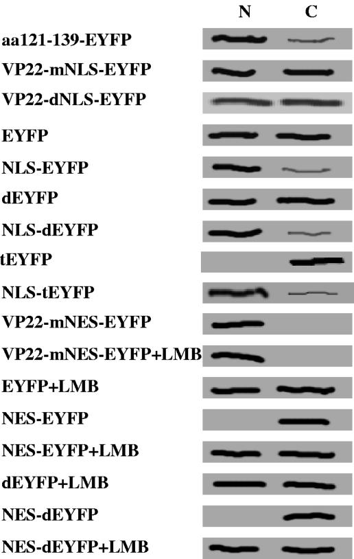 FIG. 7.