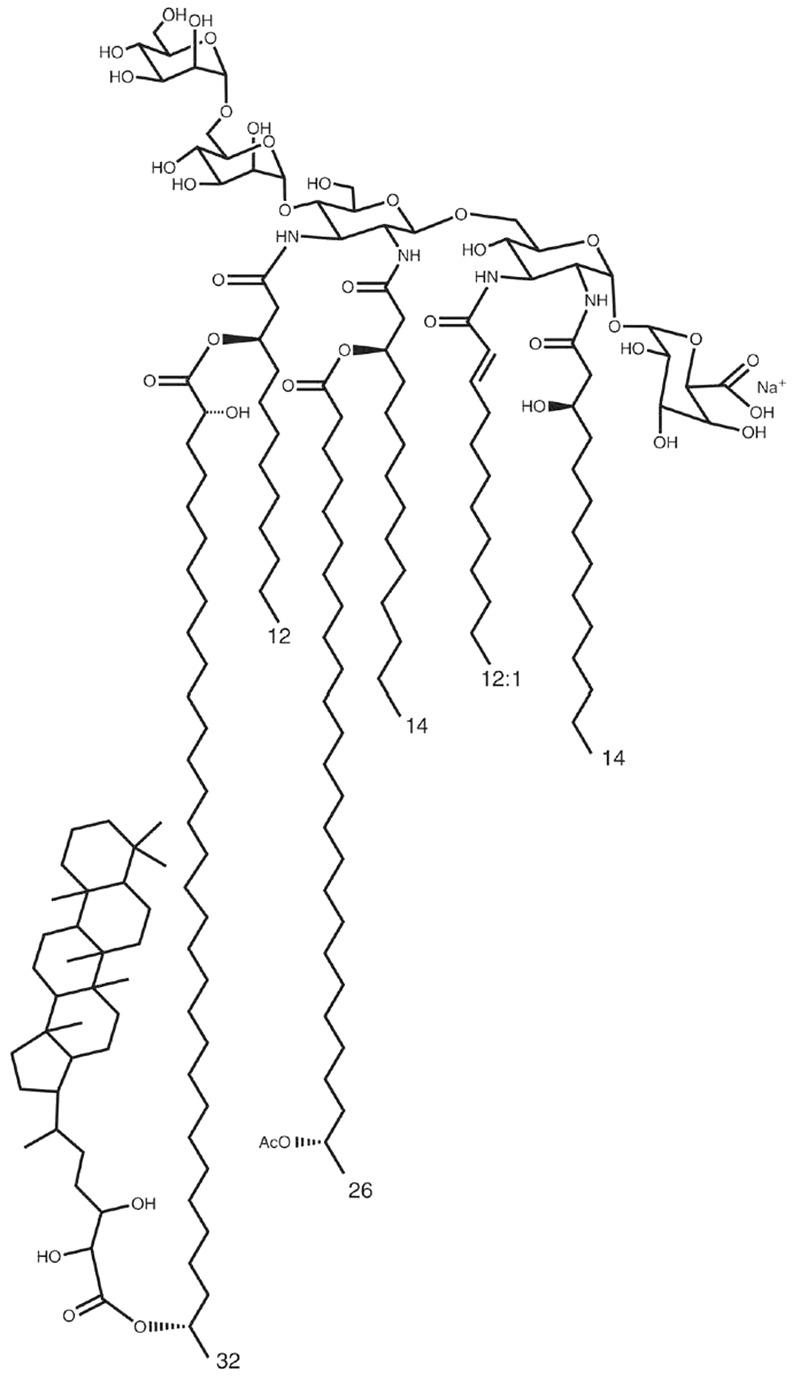 FIGURE 1