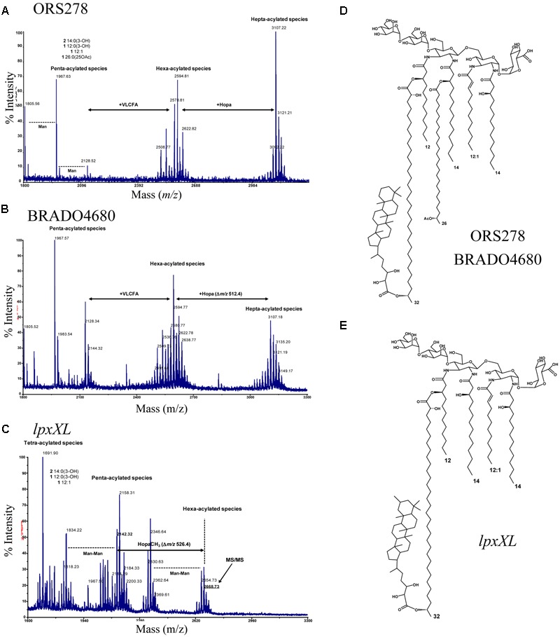 FIGURE 3