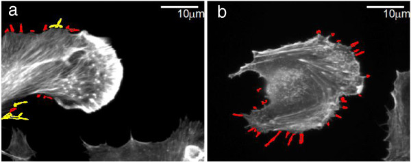 Figure 10