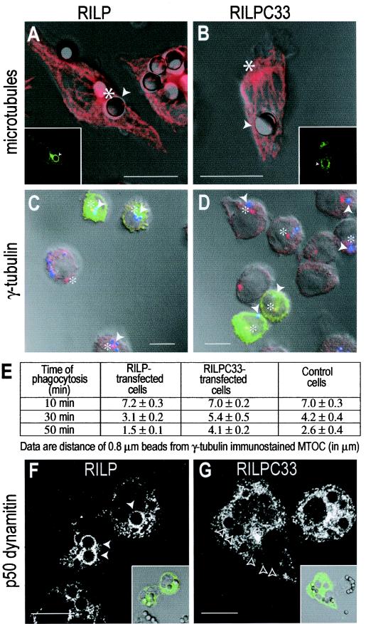 FIG.4.