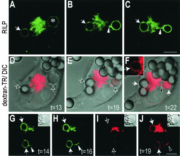 FIG. 7.