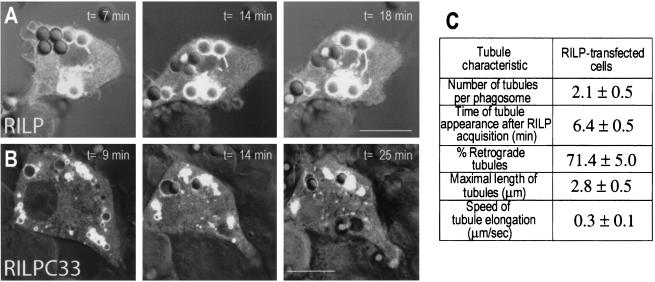 FIG. 6.