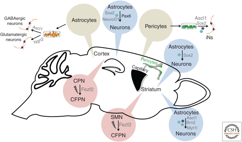 Figure 2.