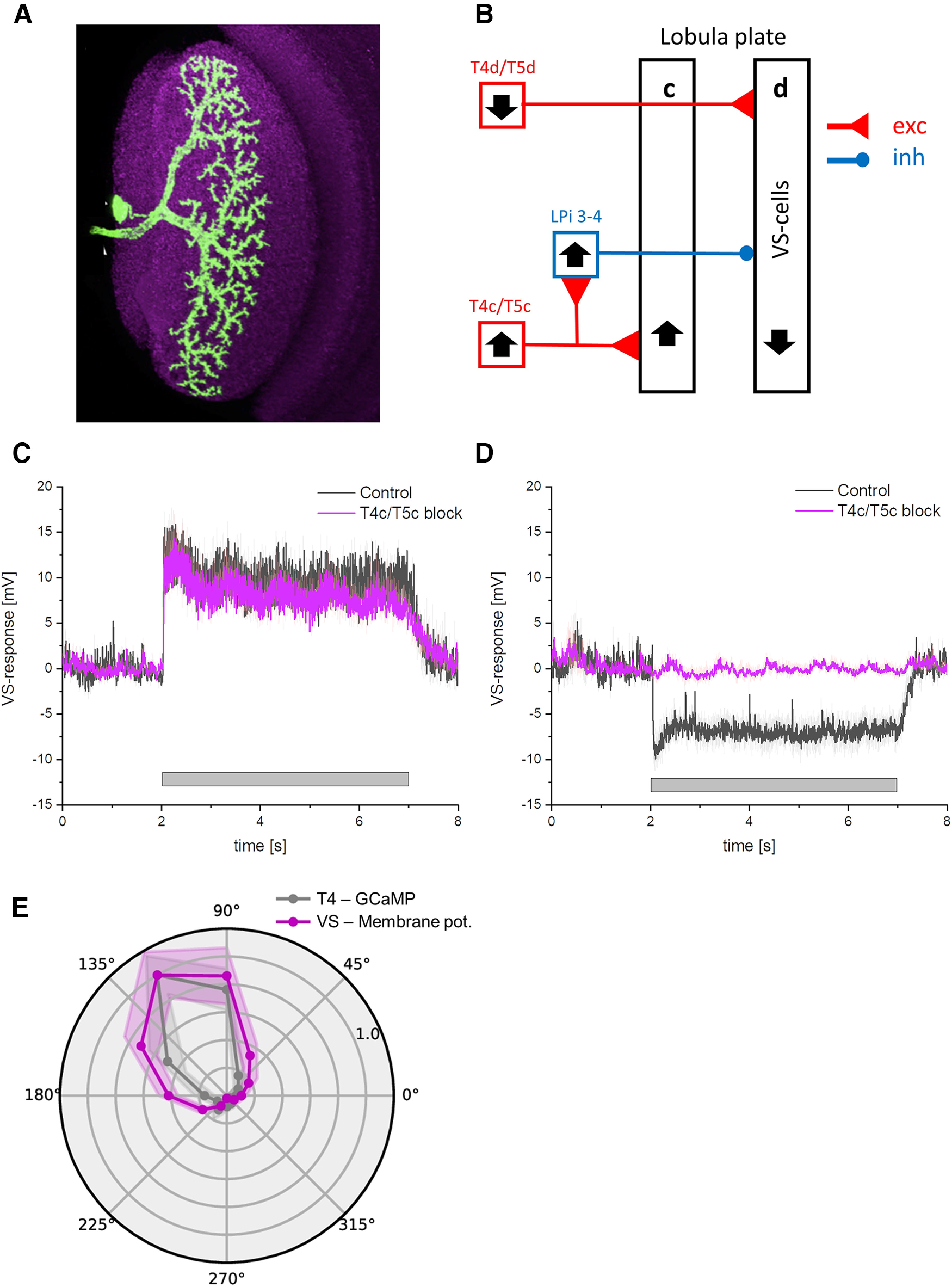 Figure 14.