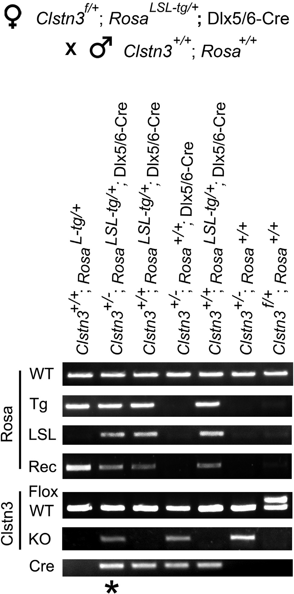 Figure 3.