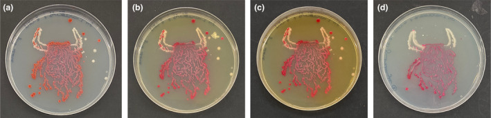 FIGURE 3