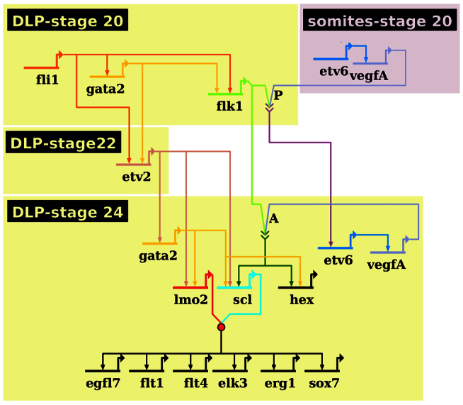 Fig. 5.