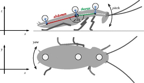 Fig. 1