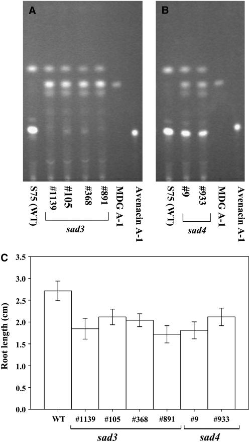 Figure 3.