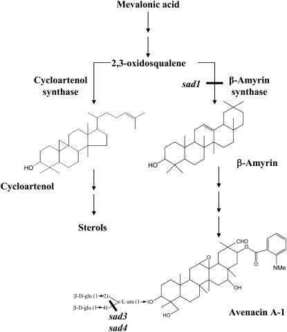 Figure 1.