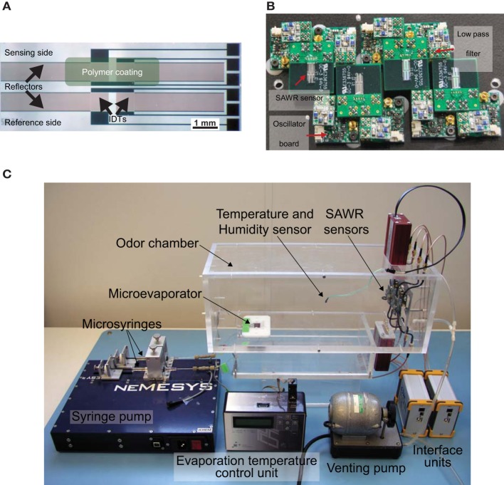 Figure 2