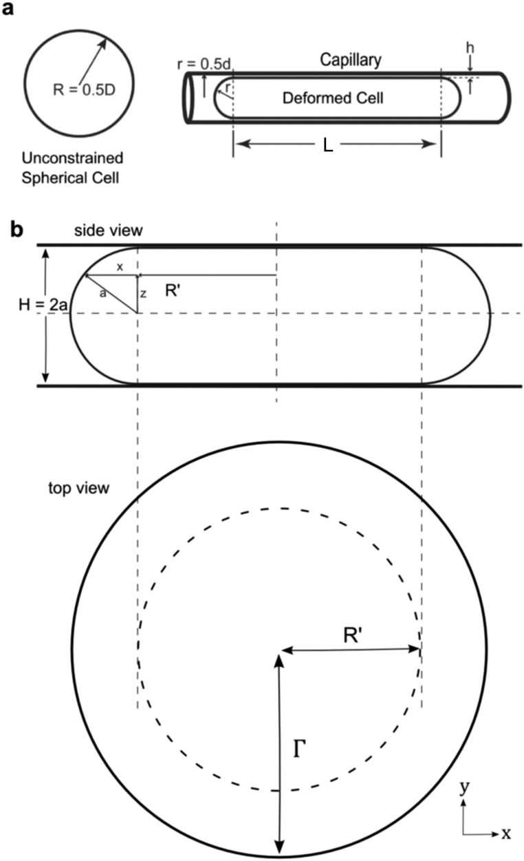 Fig. S10.