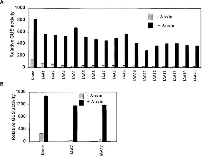 Figure 2.