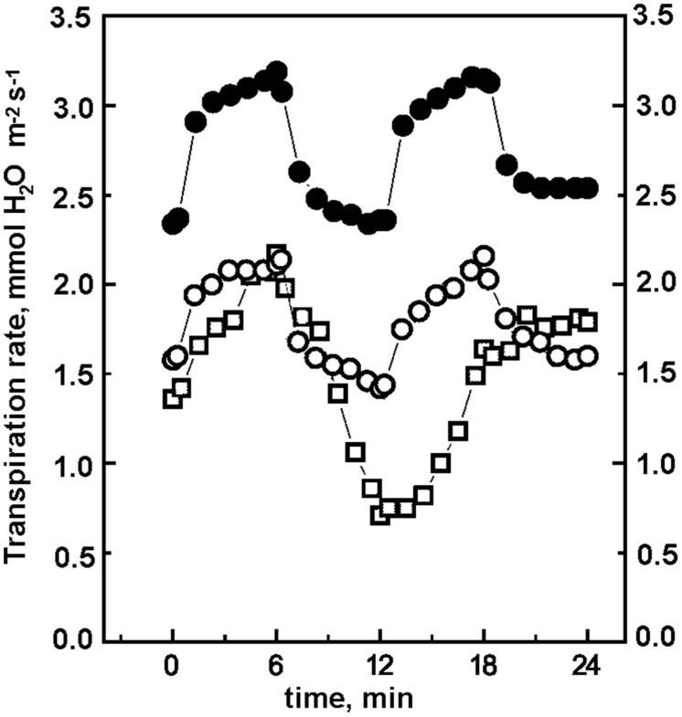 FIGURE 3