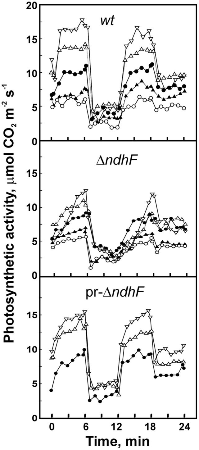 FIGURE 2