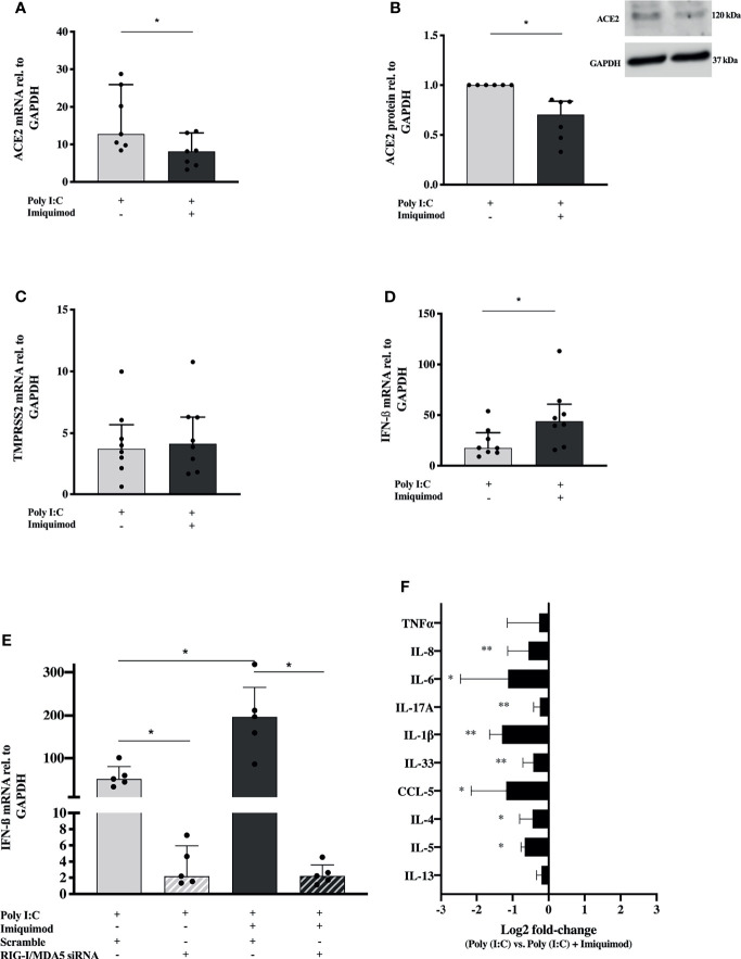 Figure 5