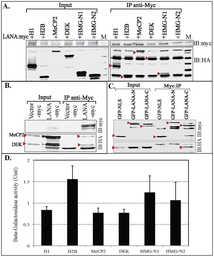 Figure 12