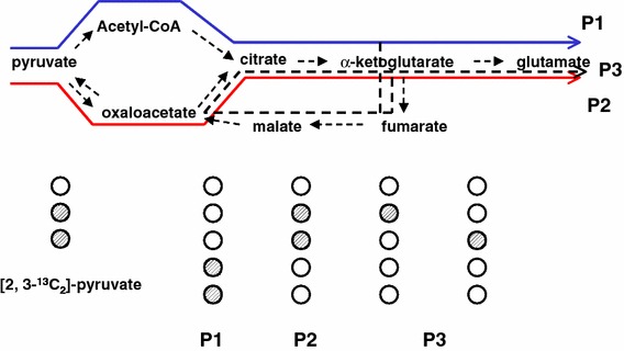 Figure 5.