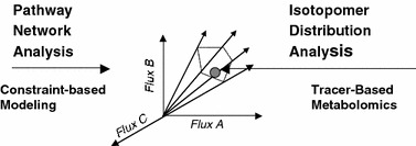 Figure 7.