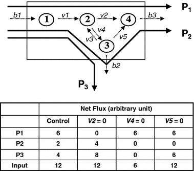 Figure 2.