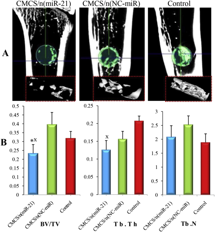 Fig. 8