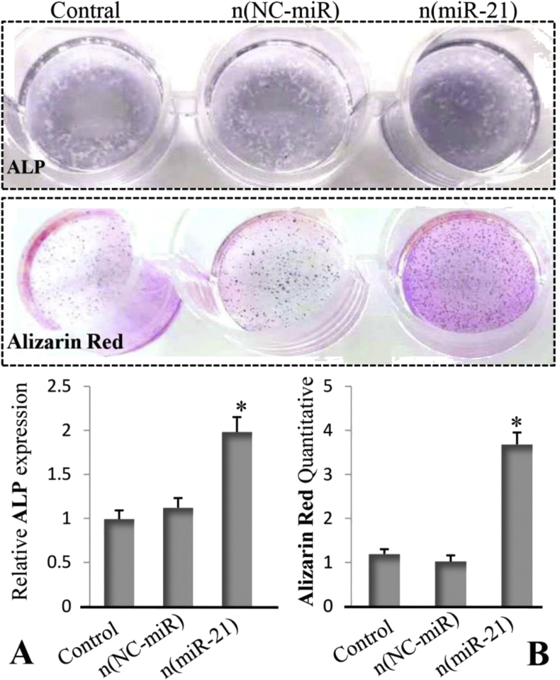 Fig. 7