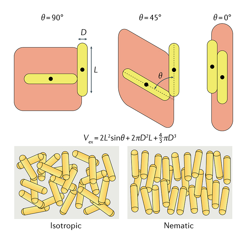 Fig. 10