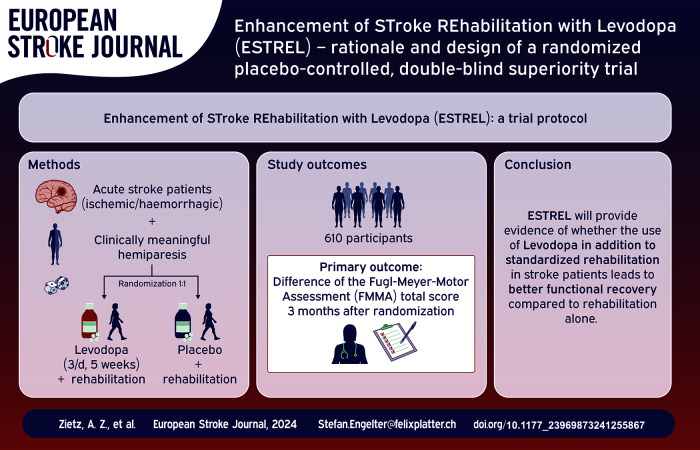 Graphical abstract