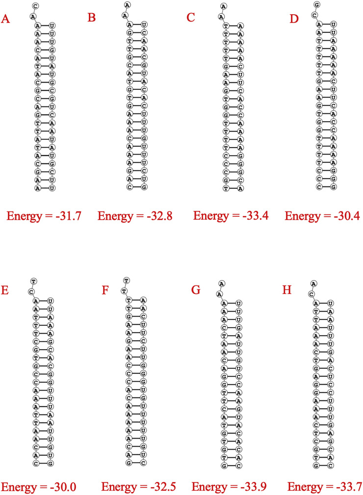 Fig. 5