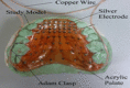 graphic file with name 12938_2021_854_Figb_HTML.gif