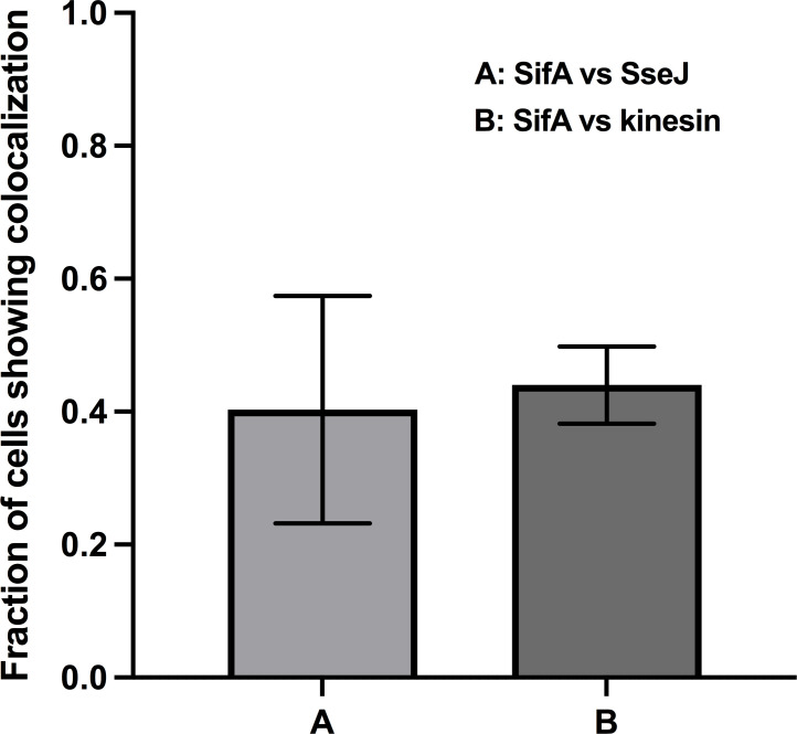 Figure 4—figure supplement 1.