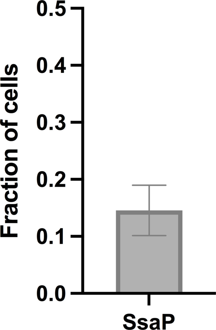 Figure 2—figure supplement 5.