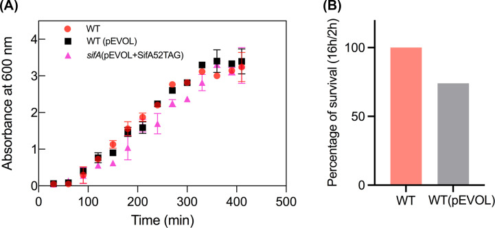 Figure 3—figure supplement 1.