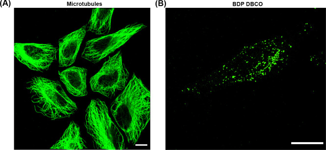 Figure 4—figure supplement 2.