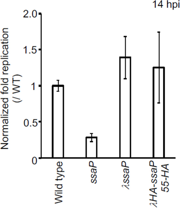 Figure 5—figure supplement 2.