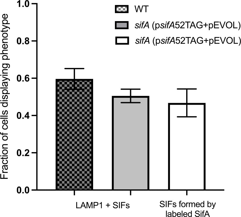 Figure 3—figure supplement 4.