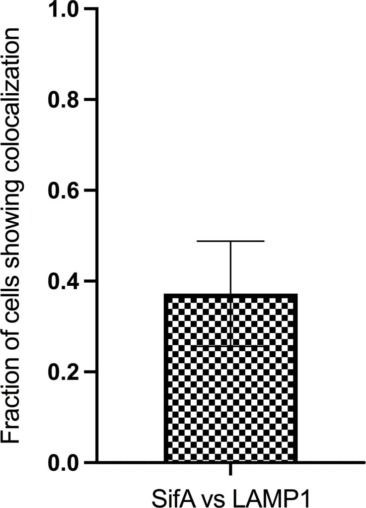 Figure 3—figure supplement 5.