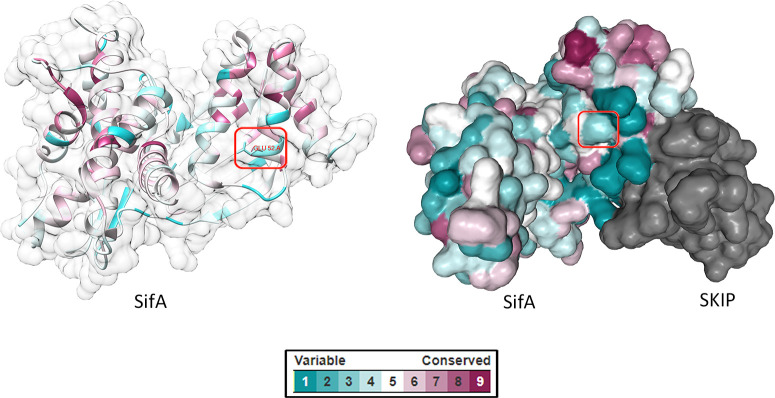 Figure 2—figure supplement 2.