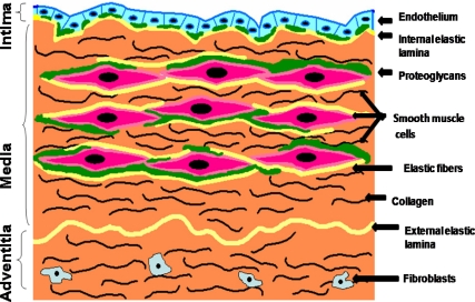 Figure 1: